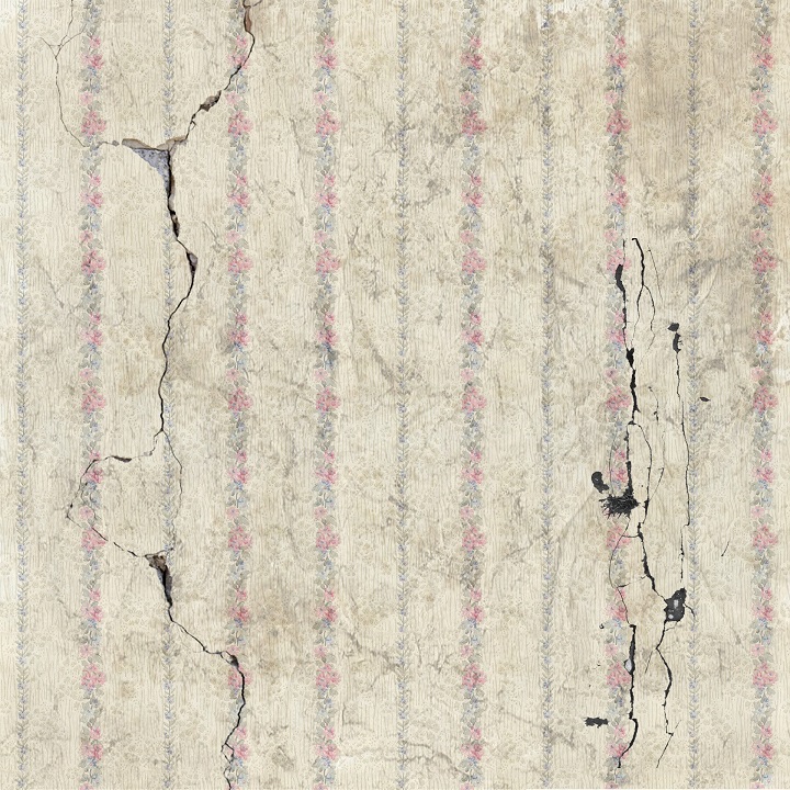 Mold damage in San Antonio can cause you to need on-site storage. UNITS Moving and Portable Storage can help.